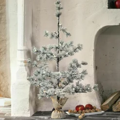 Weihnachtsbaum Falkirk