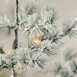 Weihnachtsbaum Falkirk