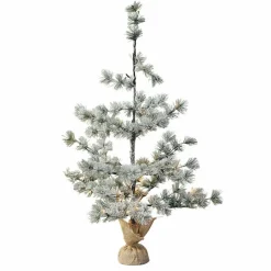 Weihnachtsbaum Falkirk