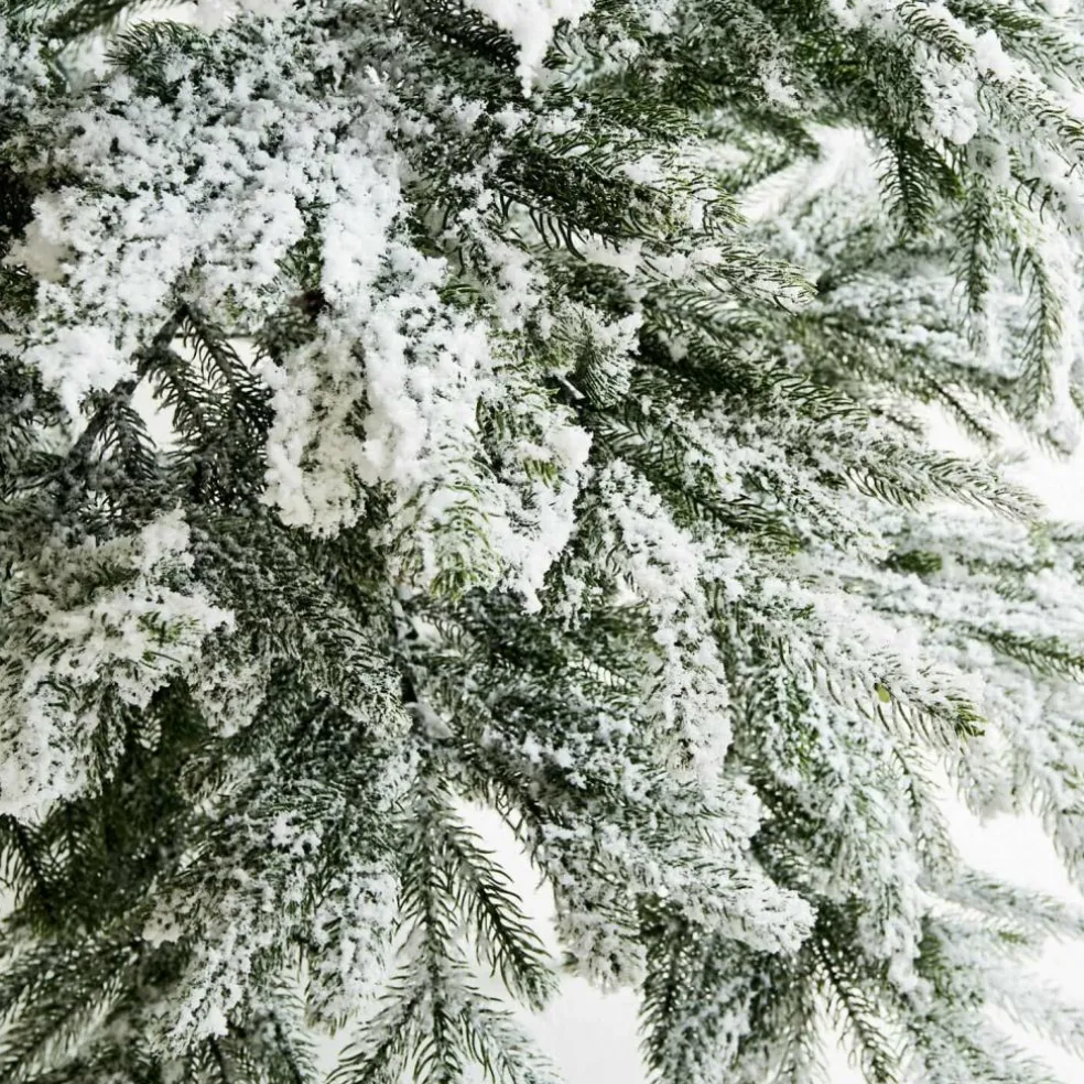 Weihnachtsbaum Lokossa