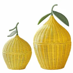Zitronenkorb 2er Set Aelindria