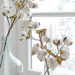 Zweig 3er Set Sauves