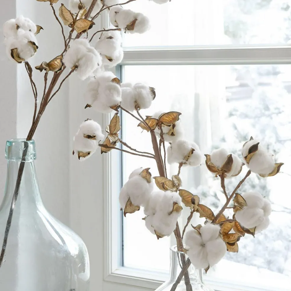 Zweig 3er Set Sauves